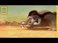 Imagine Alien Life Known Universe