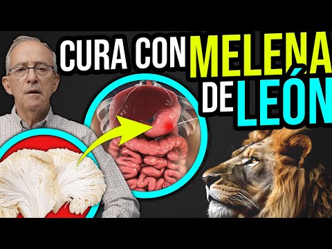 🦁 Nutritious and Medicinal LION'S MANE - Oswaldo Restrepo RSC