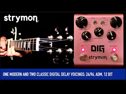 Strymon Dig