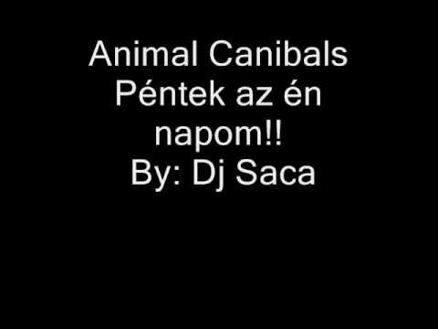 Animal Canibals Péntek By: Dj Saca