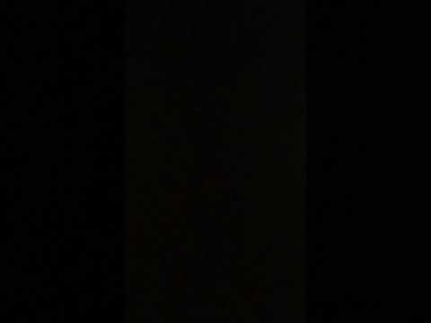 Opwarm mix carnaval ninof🥕🥕