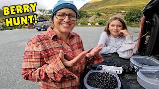 Alaskan Wild Blueberry Hunt | From Mountain Foraging to Homemade Muffins