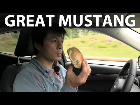 Ford Mustang Mach-E Long Range RWD Bereiktest