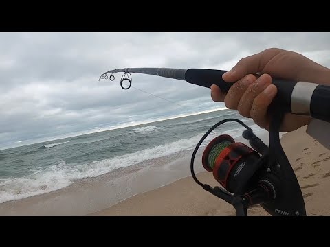 Catching my LIMIT OF BLUEFISH at SEBASTIAN INLET