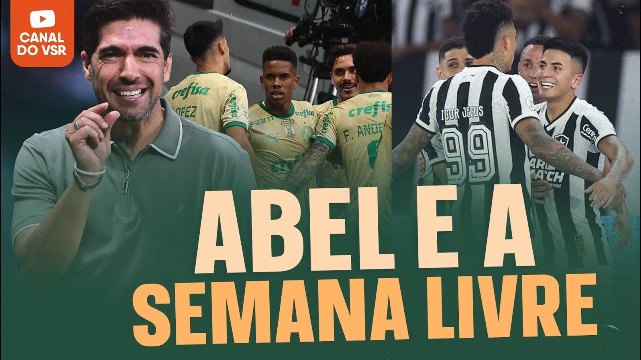 PALMEIRAS VOLTOU #brasileirão