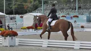 preview picture of video 'Dressage at Devon 2013   USEF 4 Year Old Final - Bellatesse HTF'