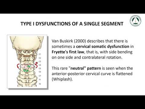 Intervertebral somatic dysfunctions according to updated Fryette concepts