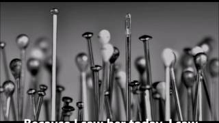 Needles and Pins   THE SEARCHERS (with lyrics)