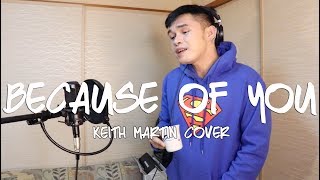 Download lagu Because of You - Keith Martin Cover (Jayce San Rafael) mp3