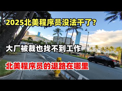 Thumbnail for 2025北美程序员没法干了？大厂被裁也找不到工作？北美程序员的退路在哪里？
