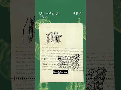 إذاعة ثمانية