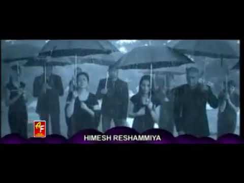 download lagu mp3 mp4 Homash, download lagu Homash gratis, unduh video klip Homash