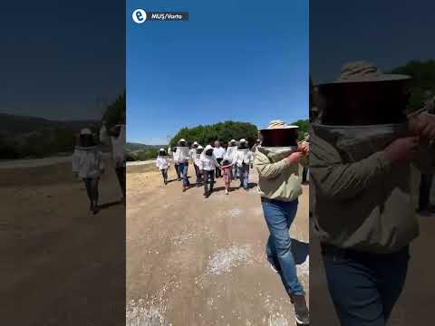 Varto’da JES’e karşı nöbet 78’inci gününde: Çadır Nöbetini arıcılar devraldı