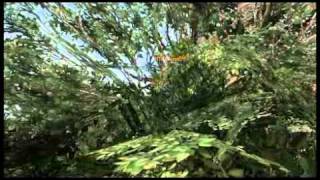 running the tight rope