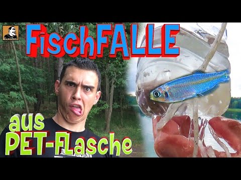 "Survival Mattin" builds a FISH TRAP from a PET bottle, catches fish and barely survives.