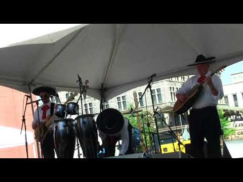 Promotional video thumbnail 6 for Los Amigos Music