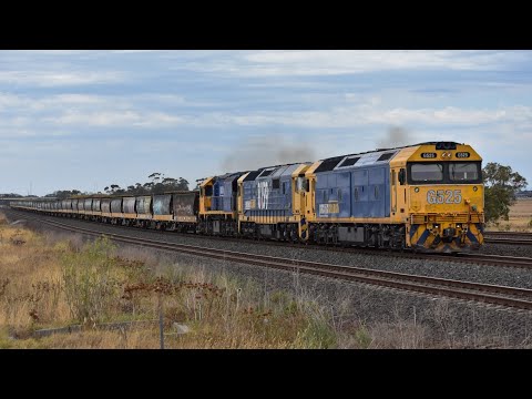 3CM5 Pacific National Grain Train 11/02/26