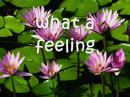 What A Feeling- Countdown Singers