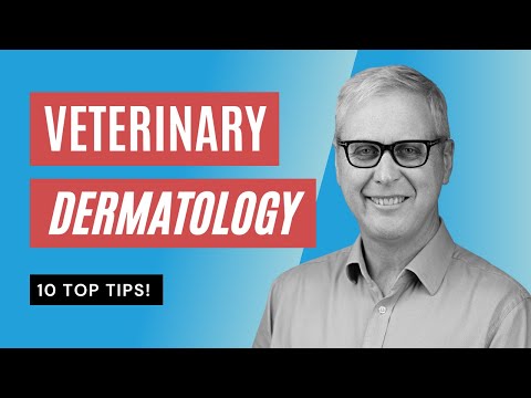 Veterinary Dermatology 10 TOP TIPS you NEED to Know