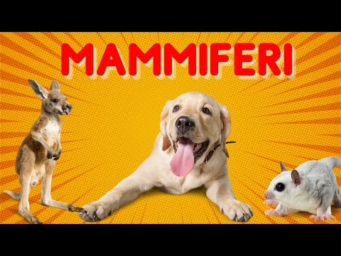I MAMMIFERI 🐕🦏🦘spiegati ai bambini della scuola primaria