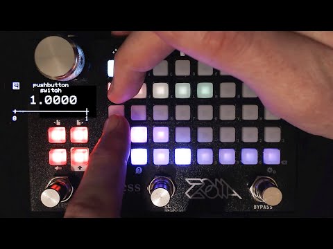 Zoia Tutorial: Radio Buttons - Empress Effects Zoia