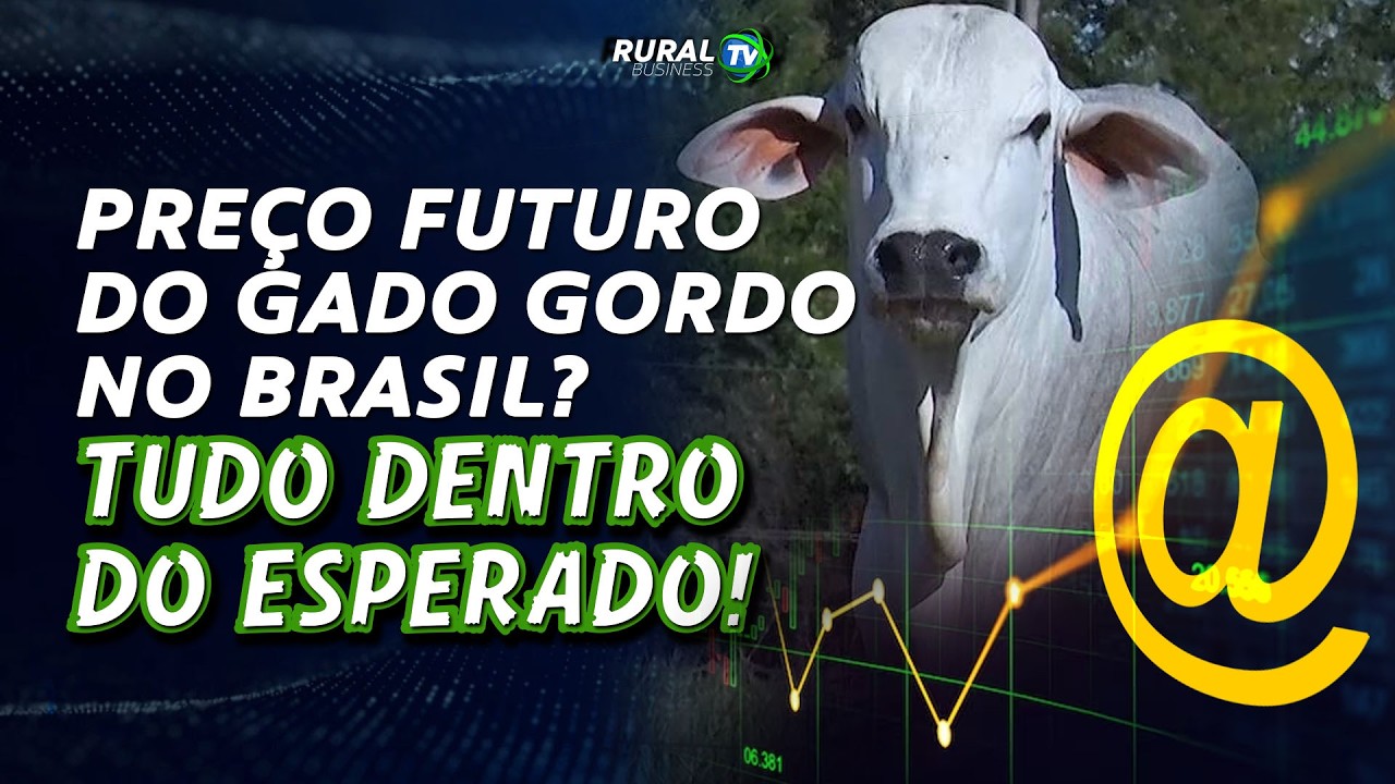 PREÇO FUTURO DO GADO GORDO NO BRASIL? TUDO DENTRO DO ESPERADO!