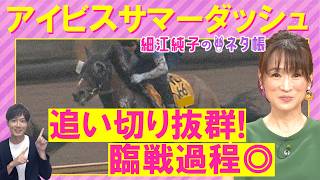 「能力あるし仕上がりも良い！ただ…」ピューロマジック、アメリカンステージ、エコロレジーナ・・・アイビスサマーダッシュ(ＧⅢ)を元ジョッキーの細江さんが徹底解説！＜細江純子のネタ帳＞