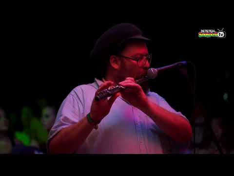 Blackboard Jungle Play Aba Araginals Ft Don Fe at Rototom Sunsplash 2018