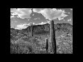 Scale Feather Sonora Full Album 2018
