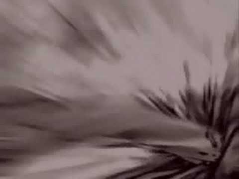 GF11 & dm10: Tail Spin