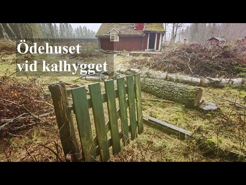 DET LILLA ÖDEHUSET vid kalhygget - KARLSKRONA - 2023-03-13 - BLEKINGE