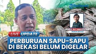 Ogah FOMO, Pemkot Bekasi Belum Ikuti Tren Basmi Ikan Sapu-sapu, Tunggu Evaluasi DLH
