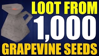 RuneScape: Loot From 1000 Grapevine Seeds!