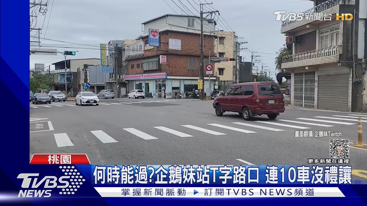何時能過?企鵝妹站T字路口 連10車沒禮讓