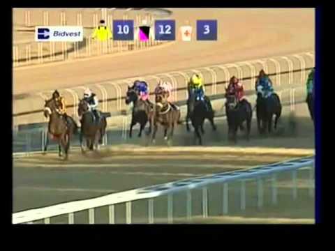 Red Rain - 2nd win - Racing Association