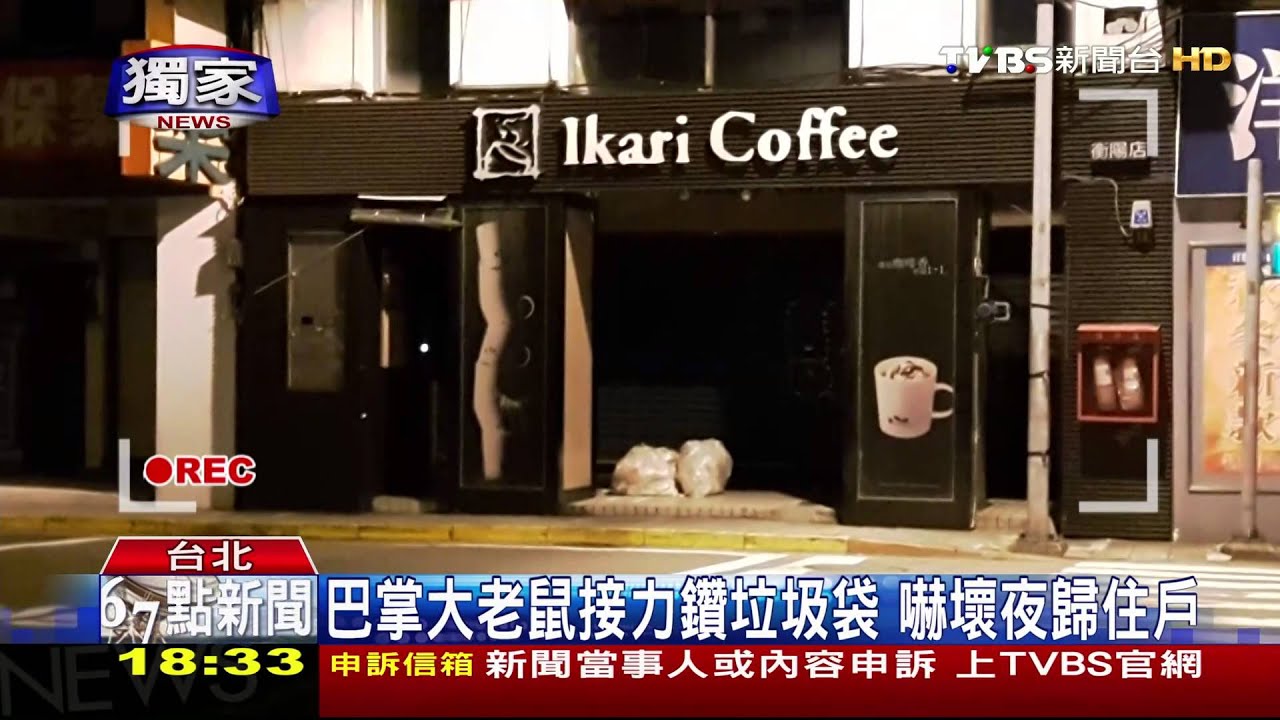 獨家／咖啡廳垃圾違規置騎樓　成「老鼠覓食天堂」