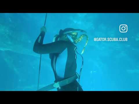 Freediving Workshop with Depth Wish Freediving February 2023