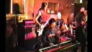 Crawfish Kings: Zydeco Boogaloo