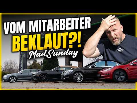 SCHLECHTE Menschen & Fehlende KOMPETENZ? Druck erzeugt GEGENDRUCK! Realtalk über PLEITE & Scheitern!