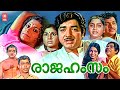 Rajahamsame Malayalam Full Movie Prem Nazir Jayabharathi Srividya Malayalam Evegreen Movies