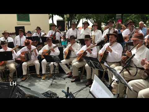 download lagu mp3 mp4 Estribillos De Isas Canarias, download lagu Estribillos De Isas Canarias gratis, unduh video klip Estribillos De Isas Canarias