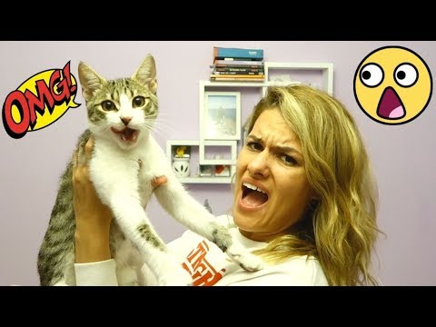 OMG pa kud baš nama?!?!