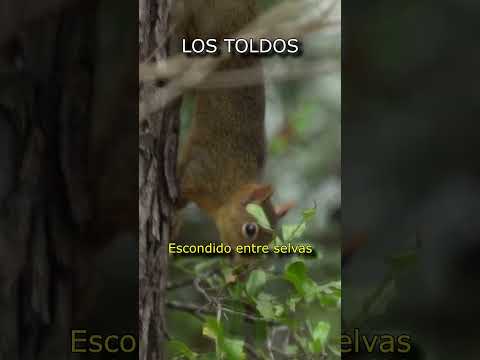 El pueblo argentino al que solo se puede llegar desde Bolivia | Curiosidades Argentinas #64