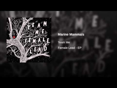 Marine Mammals