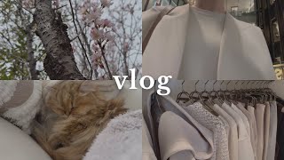 猫と過ごす休日に衣替えして本格的な春を待つ🌸一人暮らしの日常vlog｜無印購入品｜バックの中身紹介