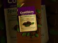 Coatibles Spearmint Leaves – Minty Fresh Meets Chocolate Bliss - 175g