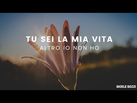 TU SEI LA MIA VITA ALTRO IO NON HO -  Gioele Gozzi