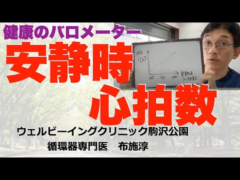 太陽:謎の「心拍」の原因が研究で判明