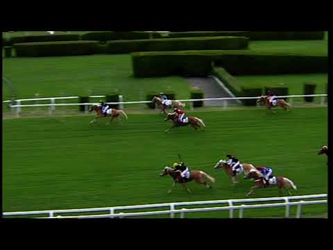 corsa haflinger/Haflinger Rennen  16.05.2021 Premio/Preis Merano Galoppo (m.700)