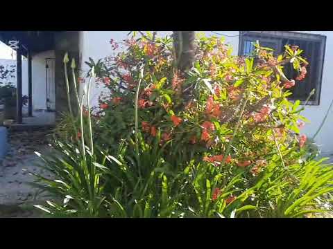 Video de YouTube - Amplia casa con hermoso jardín